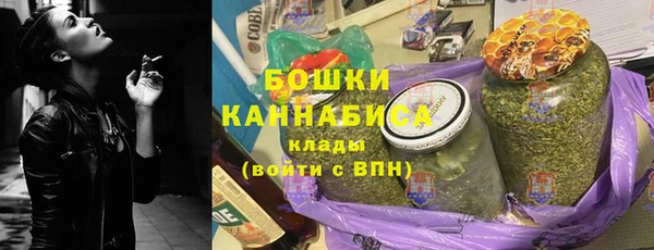ГАЛЛЮЦИНОГЕННЫЕ ГРИБЫ Заводоуковск